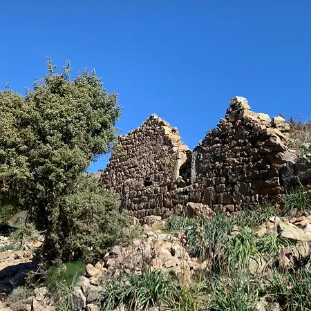Maison En Pierre Corse Avec Vue Entre Et Montagne Moltifao