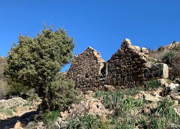 Maison En Pierre Corse Avec Vue Entre Et Montagne Moltifao